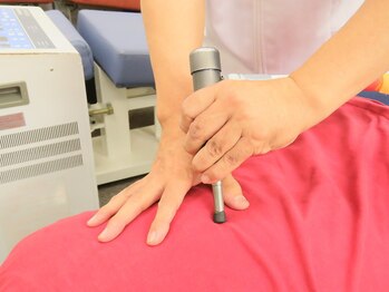 ジャパンカイロプラクティックセンター/