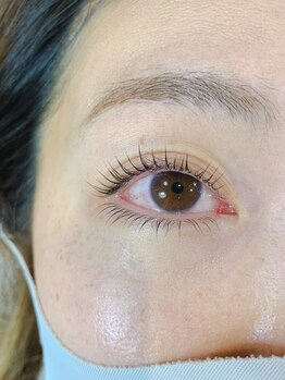 プレジア バイ マリーテレジア 赤坂店(plesia by MARIE TERESIA)/まつげパーマ パリジェンヌ上下