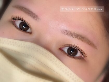 シュシュ(chouchou)の写真