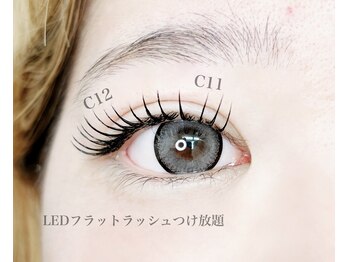 カラー(KOLOR)/LEDフラットラッシュ