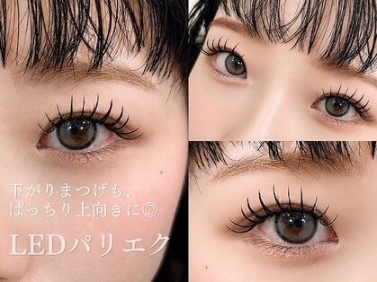 フィレール(Filer)の写真