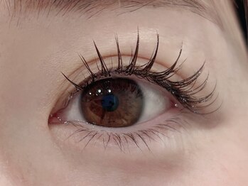 ステラ 恵比寿店(STELLA)/