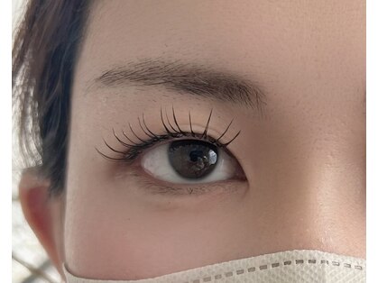 ティーツリー(tea tree)の写真