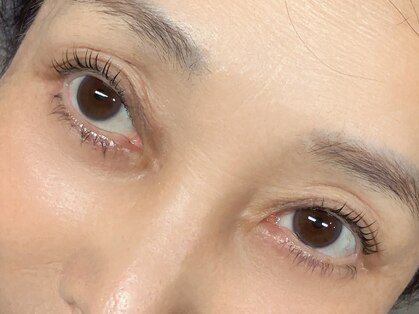 オータム(Autumn)の写真