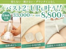 美人バスト 宇都宮店