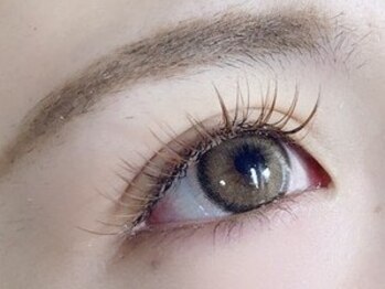 ペルシャ(Persian)/Eyelash