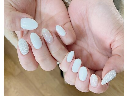 ステラ(stella)の写真