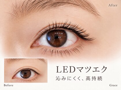 グラース(Grace)の写真