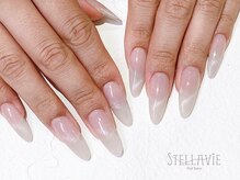 ステラヴィエ(Stellavie)/マグネットワンカラーネイル