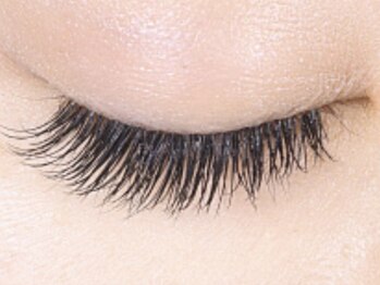 ラ ミジュ(La miige)の写真/華やかなお目元に♪スーパーフラットラッシュでぱっちりEYE☆大人上品なマツエクが大人気!眉毛メニューも◎