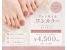 【フット】ワンカラー