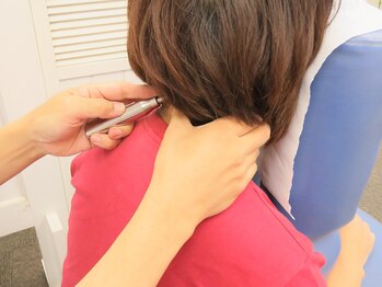 ジャパンカイロプラクティックセンター/