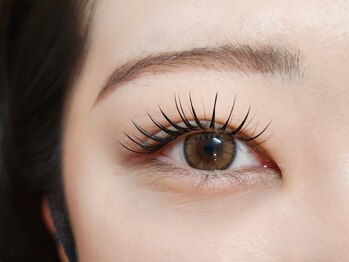 チャイ(Chay)/★フラットラッシュ120本★