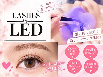 ミニョンヌ(mignonne)の写真