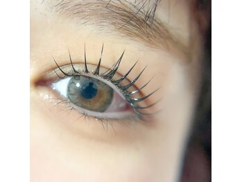 リンク(LINK)/上まつげパーマ