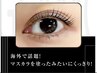 【当店人気No.1】韓国発ブラックティント★パリジェンヌ『上』￥6000