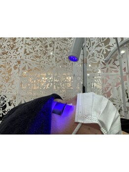 つけ放題メニューがある