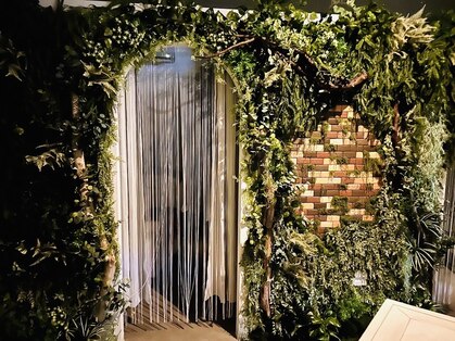 ヌマール バクの森の写真