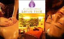 ロータスツリー(LOTUS TREE)
