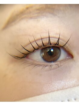 フェリシータ ジール(FELICITA ZEAL)/アップフォースリフト