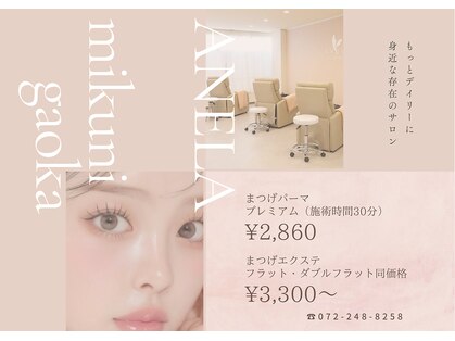 アネラ 三国ヶ丘店(ANELA)の写真