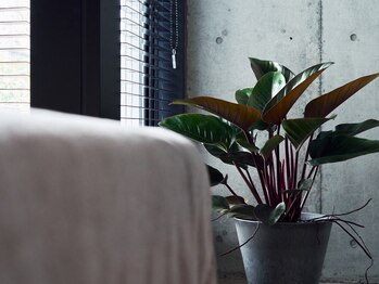 スイウ 中目黒店(SUiU)/植物のぬくもりに守られて…