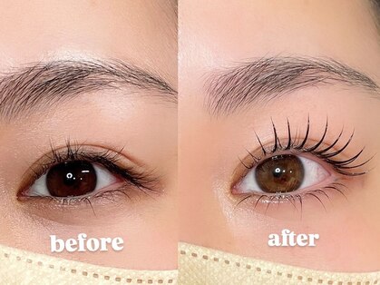 トヒト(TOHITO)の写真