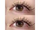 Eyelash felicite 光吉店の写真