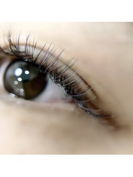 ロイス(ROIS)/◇ボリューム×フラット120本