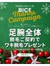 【12/31まで】脚・腕脱毛でSパーツプレゼント(カウンセリング)