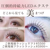 レディラッシュ(Lady Lash)