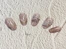 PG011399163