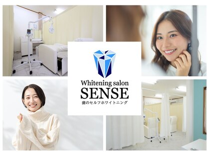 センス(SENSE)の写真