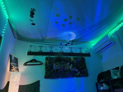 カラダの方程式の写真