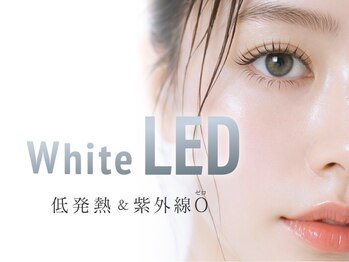 EYEMIE LASH関内店マツエク/LED/束感/バインドロック/ダブルフラットラッシュ/Lカールの写真/WHITE LED対応!LED+パーマのアンドヘルシーも有♪カラーエクステ/フラットラッシュ等マツエク素材が豊富!