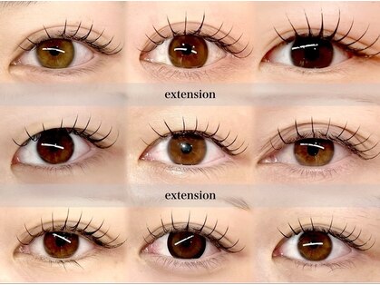 縁と縁(enn to yukari)の写真