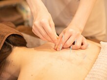 ハリオンビューティートヤマ