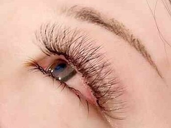 ミラ 池袋西口店(mila.)/LED５Dボリュームラッシュ300本