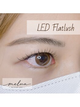 melua/LEDフラットラッシュ＊。