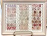 【こだわりのモチと美フォルム】season design course *夏サンプル