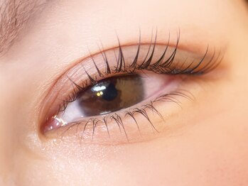 グラマラス アンジェアイ 国分寺店(glamourous/ange eye)の写真/まつげパーマ/パリジェンヌ/マツエクで上品な目元に♪朝の時短が叶う眉毛スタイリングも！[国分寺]