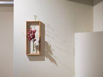 シフォン(chiffon)/