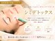 イロドリ(irodori)の写真