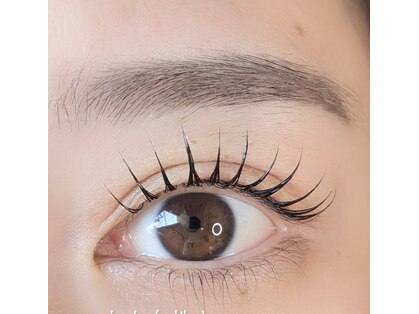 フォルス(fors)の写真