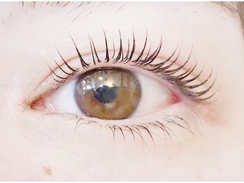 ヴァンカウンシル 川口店(VAN COUNCIL)/ラッシュリフト