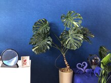 のびたのせかい ソイ 三木(soi)/