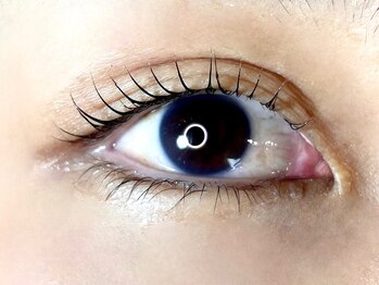 椛(momiji)/似合わせパーマ/ラッシュリフト