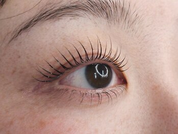 アイラッシュサロン カルモ(eye lash salon calmo)/まつげパーマ 上下