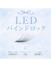 【モチ最強◎】LEDバインドロック120束 持続力重視の方に♪