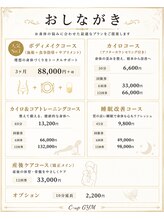 シーアップ(C-up)/カイロプラクティックメニュー表